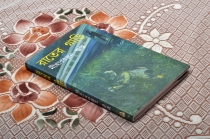 RATER GARI | রাতের গাড়ি | Niharranjan Gupta | Bengali Classic Fictional Books