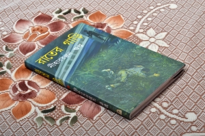 RATER GARI | রাতের গাড়ি | Niharranjan Gupta | Bengali Classic Fictional Books