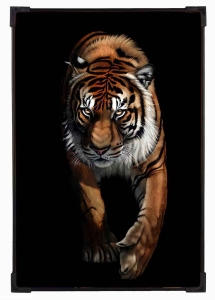 FURNATO | Painting of Tiger | Artistic Painting | with Long Lasting UV Coated MDF Framing | Laminated | Home Decor – MDF75