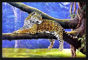 PIPILIKA® Home Decor | UV Laminated | Beautiful Painting Picture of TIGER Sitting on Tree Brunch - With Framing | SIZE: 19.5 inch X 13.5 inch | 1 Inch Framing | Wall Decor Painting | Art:-198187