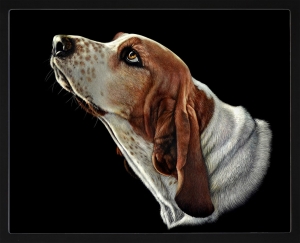 PIPILIKA® Home Decor | UV Laminated | Beautiful Portrait Painting Picture of Dog Face - With Framing | 16.5 inch X 13.5 inch | 1 Inch Framing | Wall Decor Painting | Art:-198172